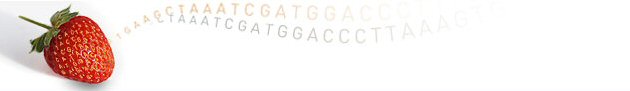 Strawberry Genome